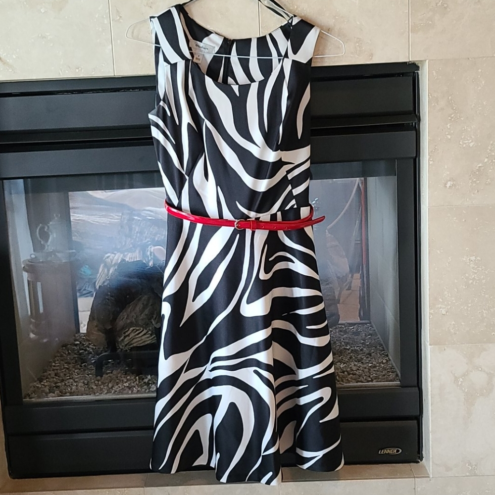 Zebra Pattern Dress - image 1